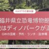 福井県立恐竜博物館とかつやまディノパークの子連れレポ（3歳）