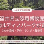 福井県立恐竜博物館とかつやまディノパークの子連れレポ（3歳）