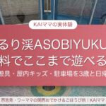 るり渓ASOBIYUKU（京都るり渓温泉）の無料の遊び場を3歳と日帰りで体験したレポート