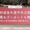 丹波並木道中央公園は恐竜もゴーカートも無料｜西宮から車で約1時間の子連れ神スポット