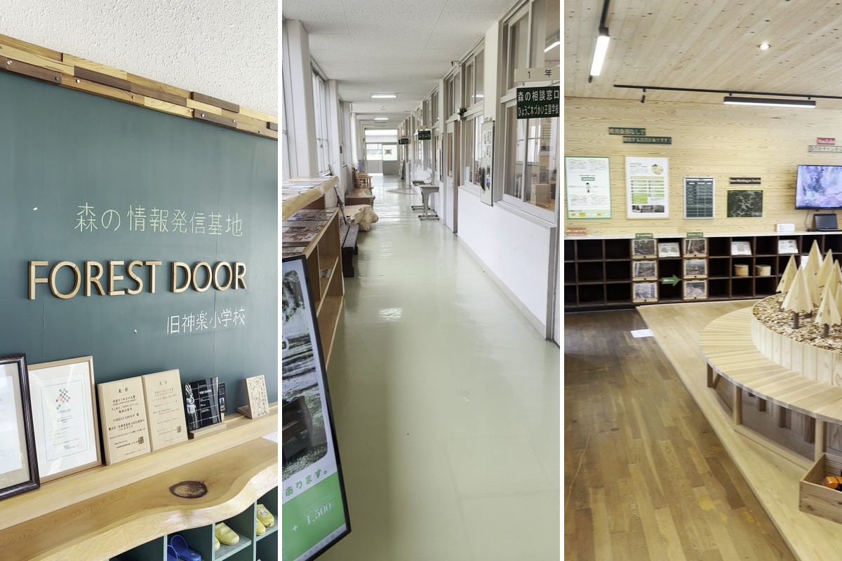FOREST DOOR 旧神楽小学校の受付にあるFOREST DOORの看板、小学校そのままの長い廊下、1階の木のオブジェが並ぶ休憩スペース