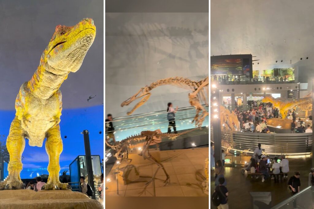 恐竜博物館の館内。動くティラノサウルス・全身骨格・GWの混雑した恐竜ホール
