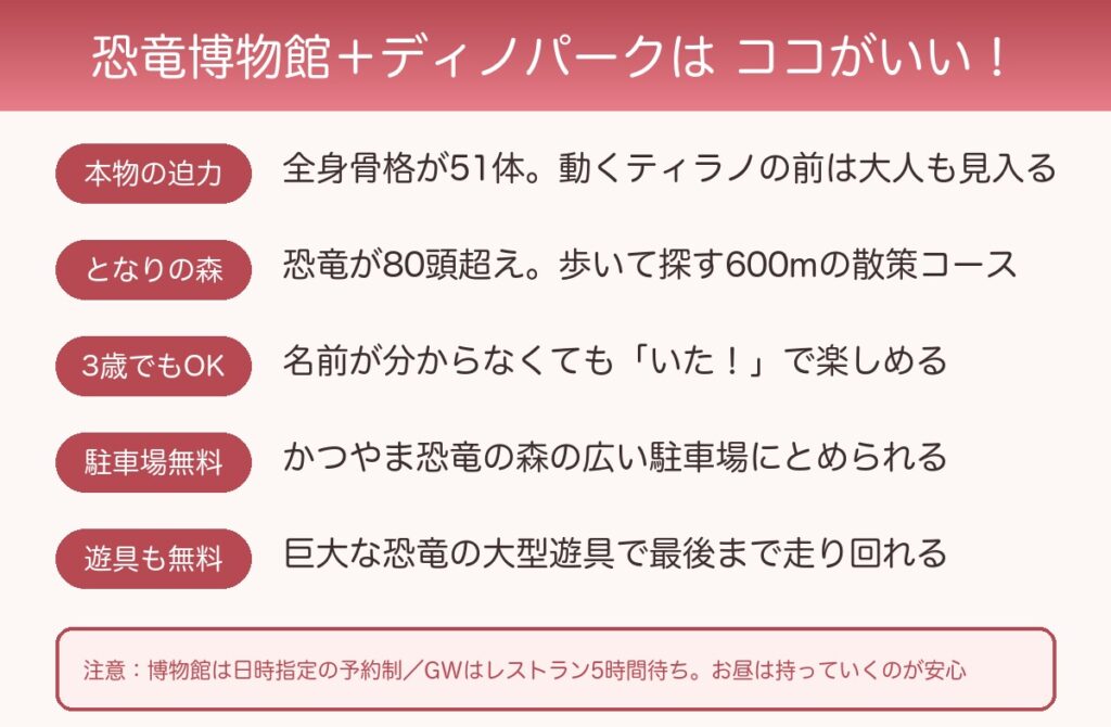 福井県立恐竜博物館とかつやまディノパークのおすすめポイント図解