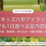 ザキッズ六甲アイランド店の大きなボールプールとすべり台。雨でも1日遊べる室内遊園地の体験レポ