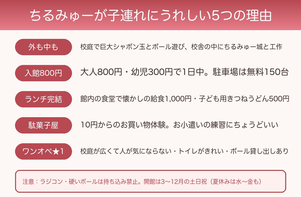 篠山チルドレンズミュージアムが子連れにうれしい5つの理由（外も中も・入館800円・ランチ完結・駄菓子屋・ワンオペ★1／注意：ラジコン・硬いボールは持ち込み禁止、開館は3〜12月の土日祝）